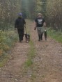 /album/kuvagalleria/helka-ja-ville-022-jpg/